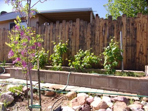 358 N Sunset Cir, Payson, AZ 85541 photo 37