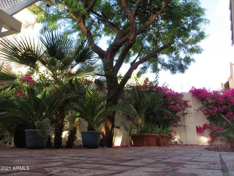 3916 E Gail Dr, Phoenix, AZ 85044 photo 18