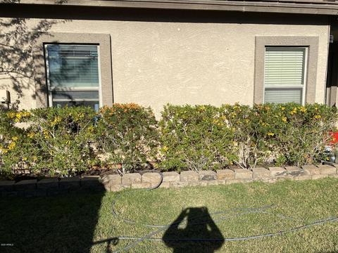 957 E Dee St, Avondale, AZ 85323 photo 32