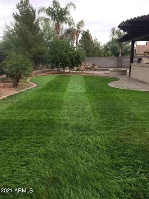 1228 E Macaw Dr, Gilbert, AZ 85297 photo 5