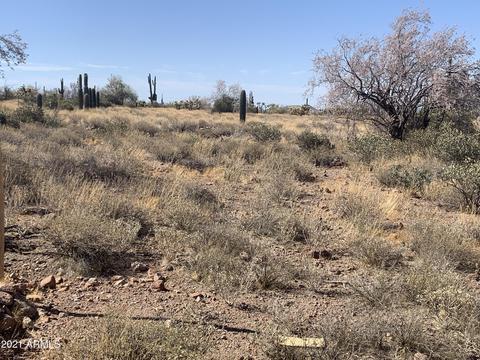 6275 E Forest St #-, Apache Junction, AZ 85119 photo 3