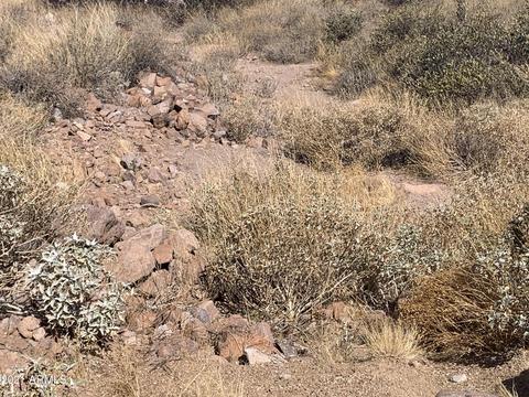 6275 E Forest St #-, Apache Junction, AZ 85119 photo 6