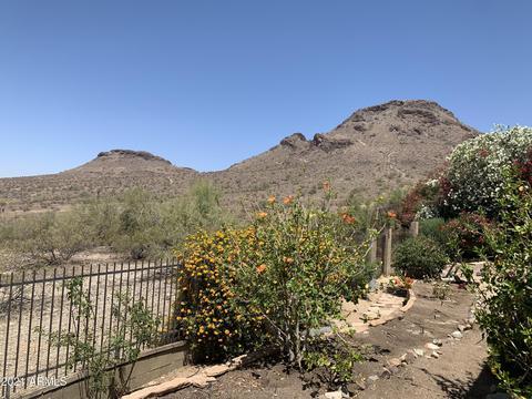 1713 E Gelding Dr, Phoenix, AZ 85022 photo 19