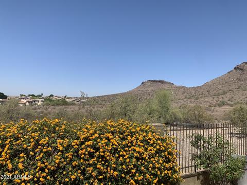 1713 E Gelding Dr, Phoenix, AZ 85022 photo 20