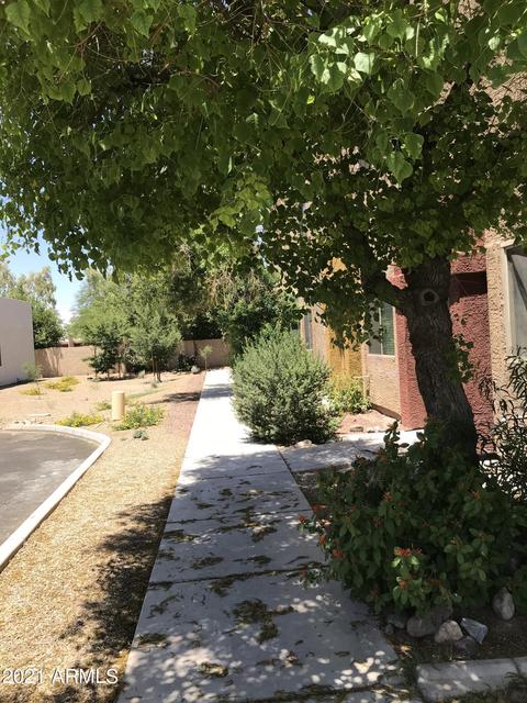 2826 E Tracy Ln #1, Phoenix, AZ 85032 photo 9