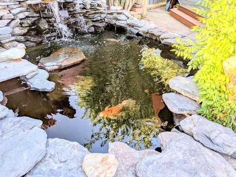 2440 E Fairmount Ave, Phoenix, AZ 85016 photo 16