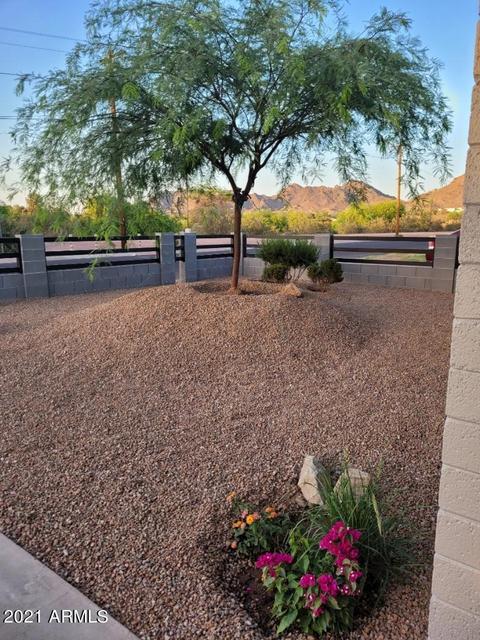 825 E Alice Ave, Phoenix, AZ 85020 photo 28