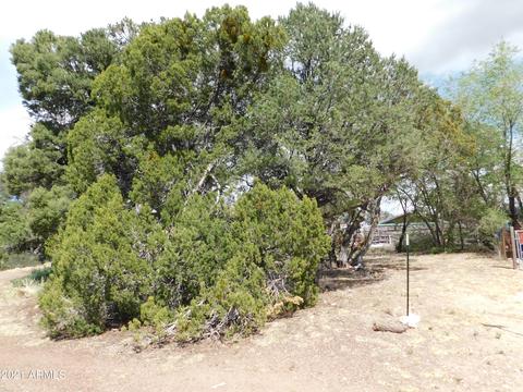 3403 Buckhorn Bnd, Overgaard, AZ 85933 photo 20