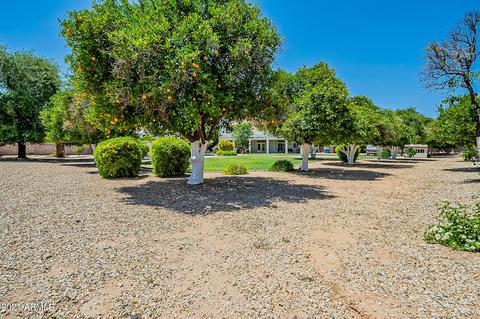 4248 E Fox St, Mesa, AZ 85205 photo 85
