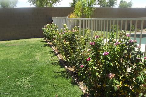 3739 E Diamond Ct, Gilbert, AZ 85297 photo 25