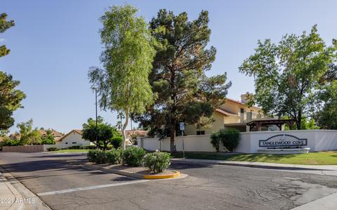 2225 Egret Ct, Gilbert, AZ 85234 photo 32