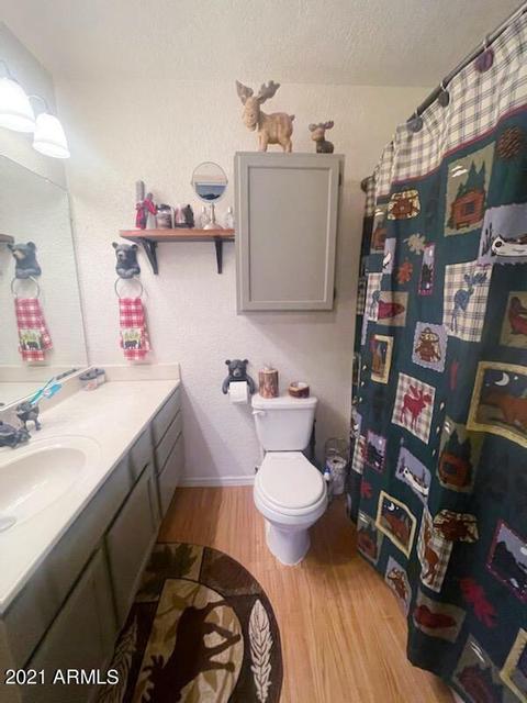 9079 W Juniper Rd, Pine, AZ 85544 photo 9