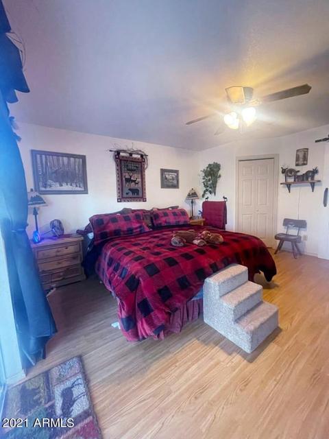 9079 W Juniper Rd, Pine, AZ 85544 photo 11