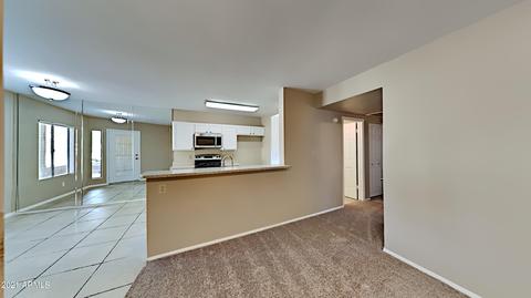 5230 E Brown Rd #102, Mesa, AZ 85205 photo 3