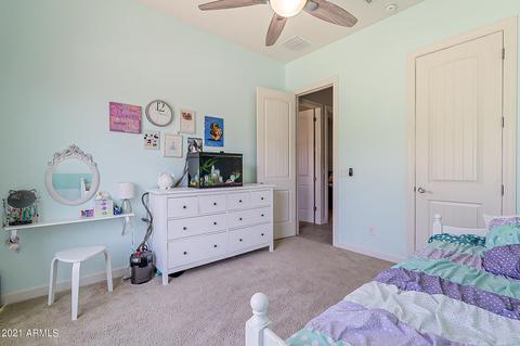 3206 E Ian Dr, Phoenix, AZ 85042 photo 44