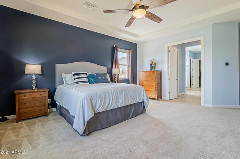 3206 E Ian Dr, Phoenix, AZ 85042 photo 29