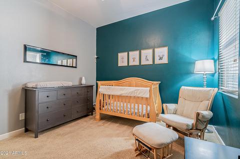3206 E Ian Dr, Phoenix, AZ 85042 photo 42