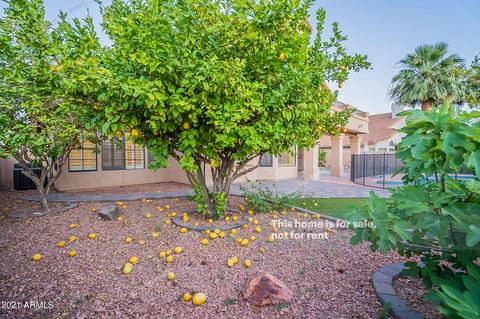 832 W Wagner Dr, Gilbert, AZ 85233 photo 40