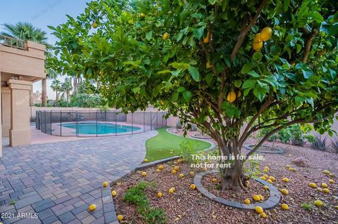 832 W Wagner Dr, Gilbert, AZ 85233 photo 41