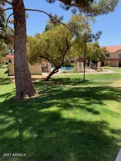 5808 E Brown Rd #137, Mesa, AZ 85205 photo 2