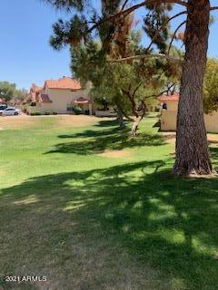 5808 E Brown Rd #137, Mesa, AZ 85205 photo 3