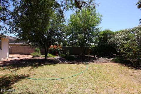 2623 E Beryl Ave, Phoenix, AZ 85028 photo 17