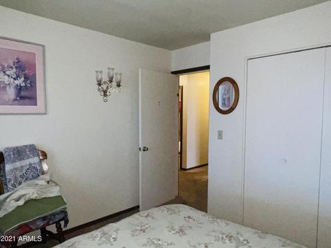 703 Quail Run Ave, Douglas, AZ 85607 photo 9