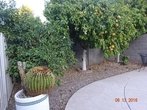 7547 E Navarro Ave, Mesa, AZ 85209 photo 24