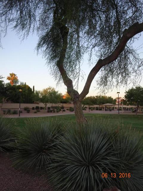 7547 E Navarro Ave, Mesa, AZ 85209 photo 28