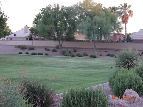7547 E Navarro Ave, Mesa, AZ 85209 photo 31