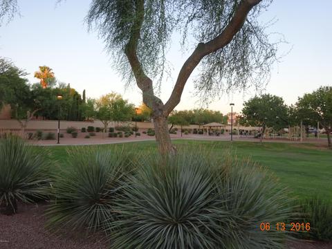 7547 E Navarro Ave, Mesa, AZ 85209 photo 27