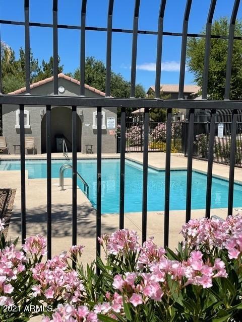 1946 E Ivanhoe St, Gilbert, AZ 85295 photo 26