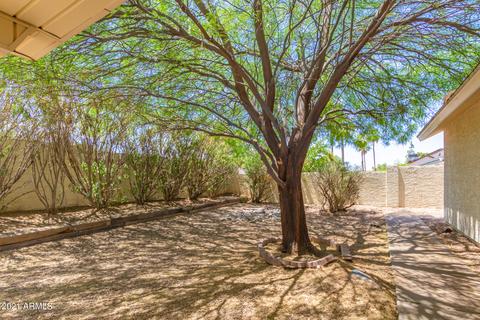 4837 E Grandview St, Mesa, AZ 85205 photo 31