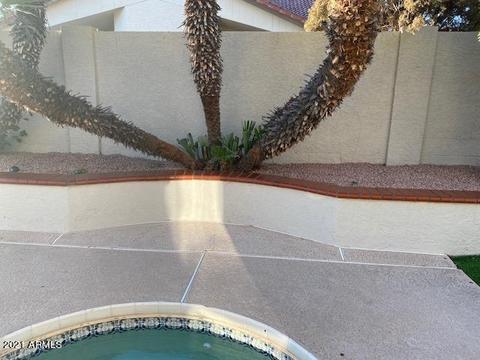 2850 E Nance St, Mesa, AZ 85213 photo 10
