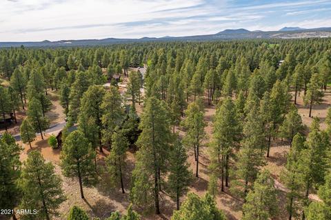 2114 E Del Rae Dr, Flagstaff, AZ 86005 photo 50