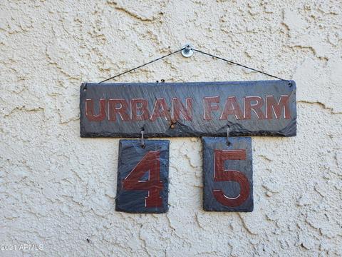 2322 S Rogers -- #45, Mesa, AZ 85202 photo 37