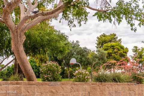 2322 S Rogers -- #45, Mesa, AZ 85202 photo 71