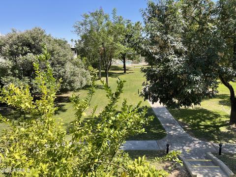 1203 E Rose Ln #7, Phoenix, AZ 85014 photo 2