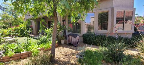 4517 E Apricot Ln, Gilbert, AZ 85298 photo 12