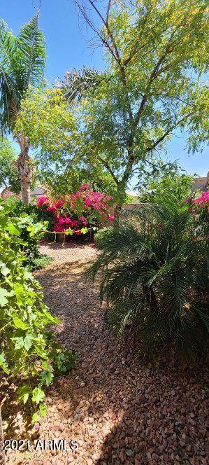 4517 E Apricot Ln, Gilbert, AZ 85298 photo 13