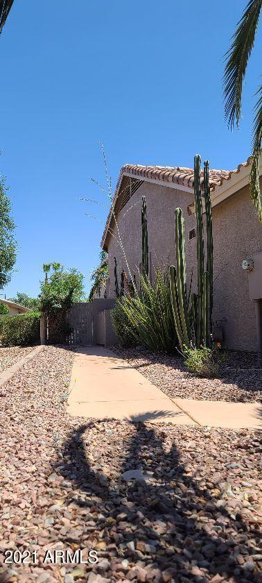 4517 E Apricot Ln, Gilbert, AZ 85298 photo 24