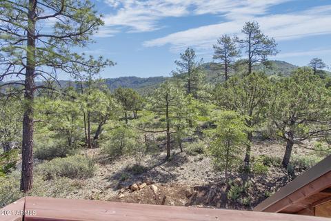 5400 W Squirrel Rd, Pine, AZ 85544 photo 32