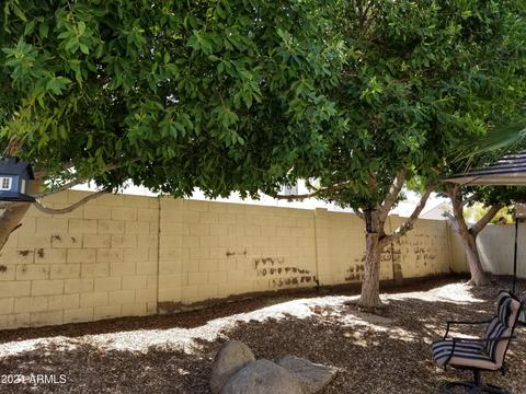 2723 E Carson Rd, Phoenix, AZ 85042 photo 21