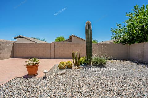 4709 E Abraham Ln, Phoenix, AZ 85050 photo 21