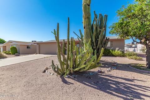 6538 E Adobe Rd, Mesa, AZ 85205 photo 25