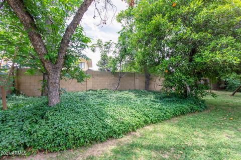 3835 E Minton Pl, Mesa, AZ 85215 photo 67