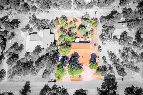 3346 Panorama Dr, Overgaard, AZ 85933 photo 26