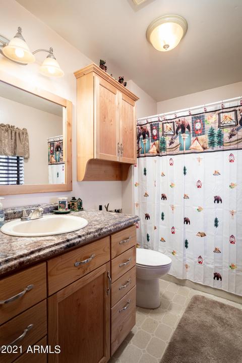 3346 Panorama Dr, Overgaard, AZ 85933 photo 17