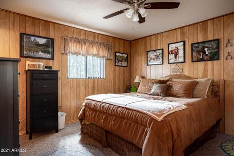 3346 Panorama Dr, Overgaard, AZ 85933 photo 16