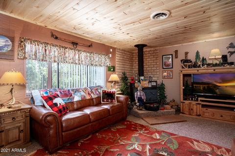3346 Panorama Dr, Overgaard, AZ 85933 photo 11